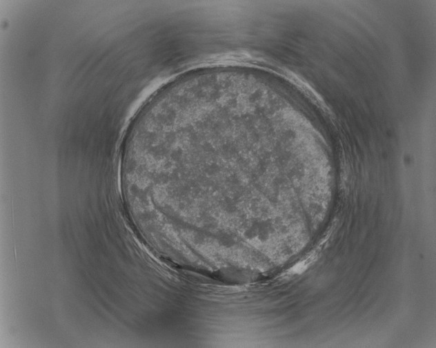 X0000067461224200605051613