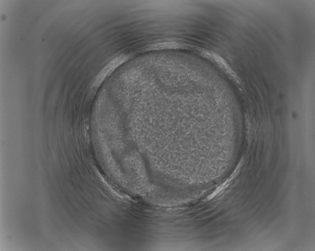 X0000067461225200605051613