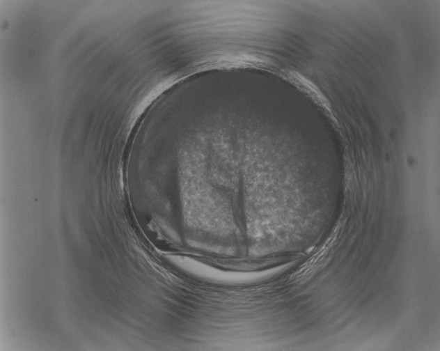 X0000067461226200605051613