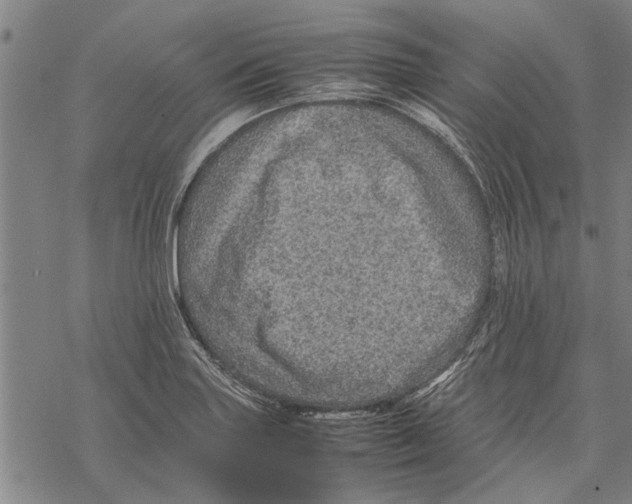 X0000067461227200605051613