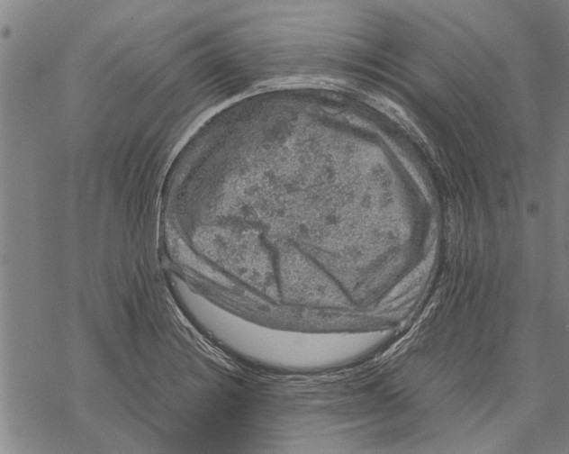 X0000067461228200605051613