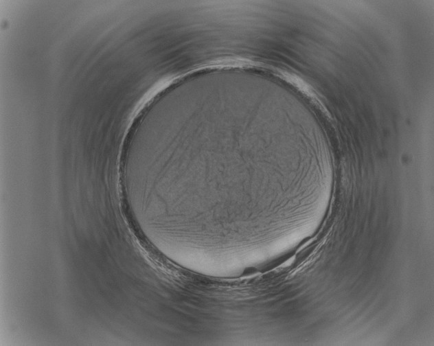 X0000067461229200605051613