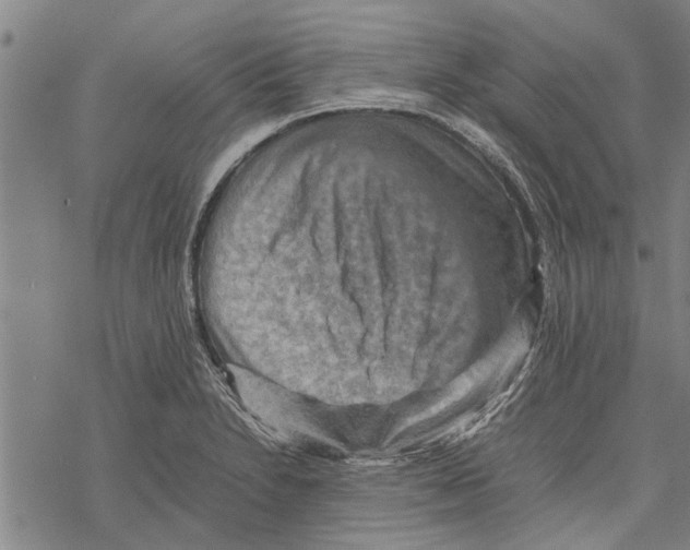 X0000067461230200605051613