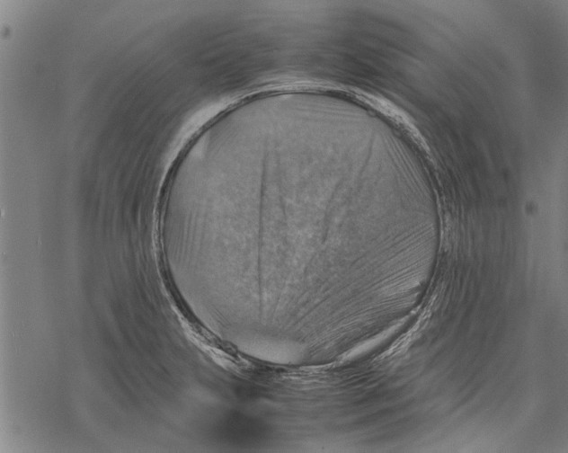 X0000067461231200605051613