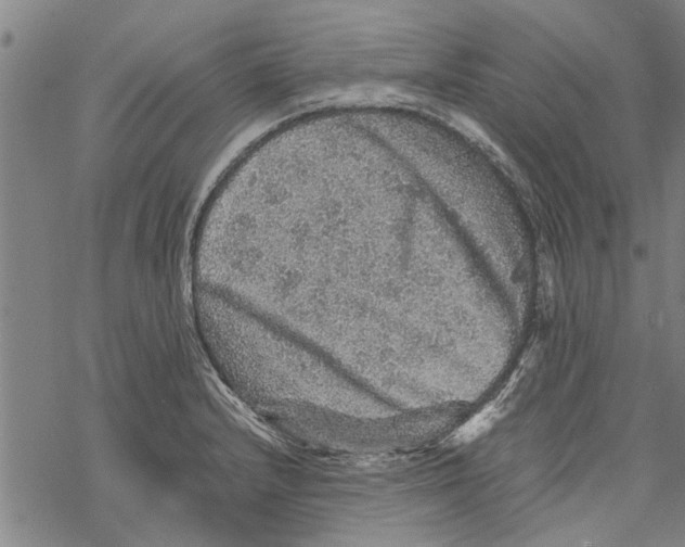 X0000067461232200605051613