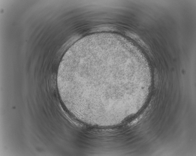 X0000067461233200605051613