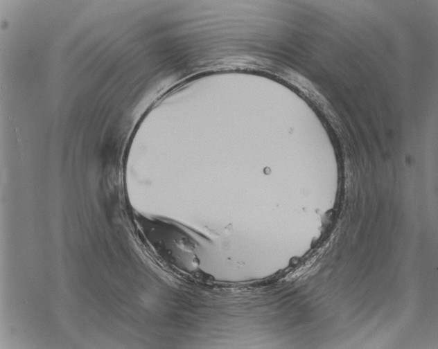 X0000067461234200605051613