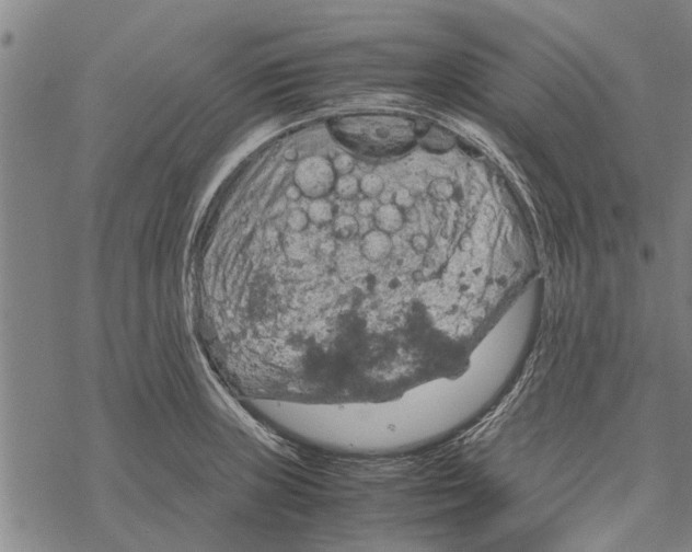 X0000067461235200605051614