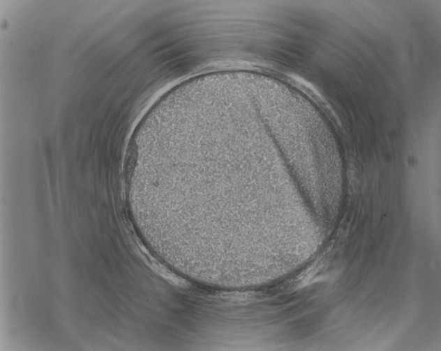 X0000067461236200605051614