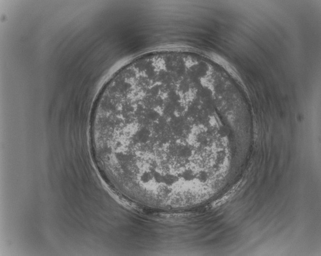 X0000067461237200605051614