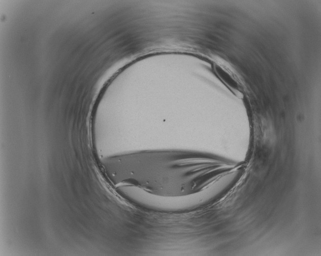 X0000067461238200605051614