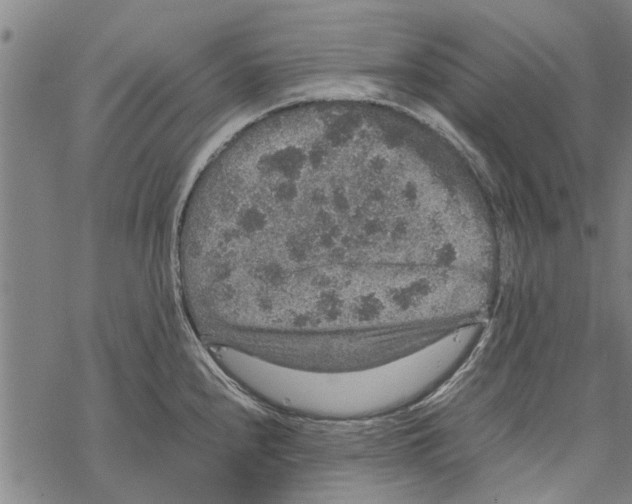 X0000067461240200605051614