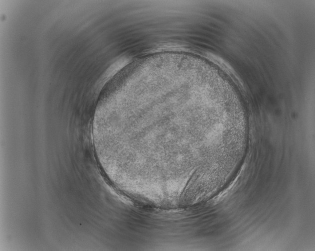 X0000067461241200605051614