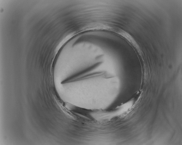 X0000067461242200605051614