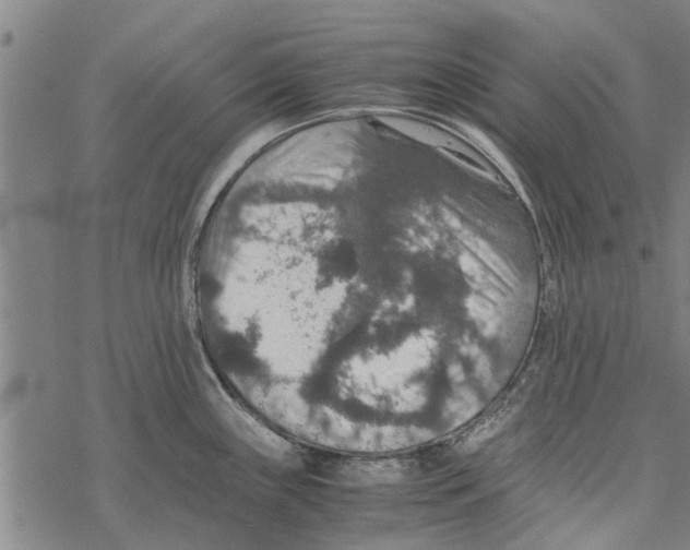 X0000067461243200605051614