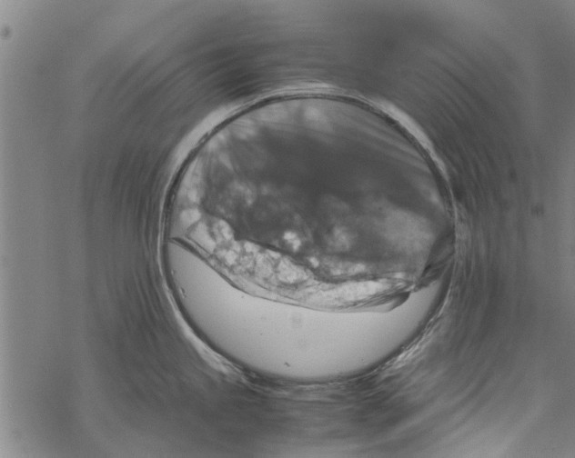 X0000067461245200605051614