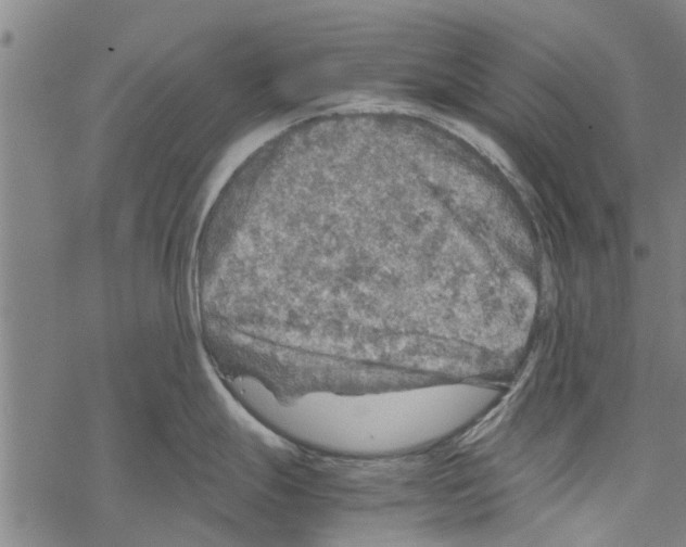 X0000067461247200605051614