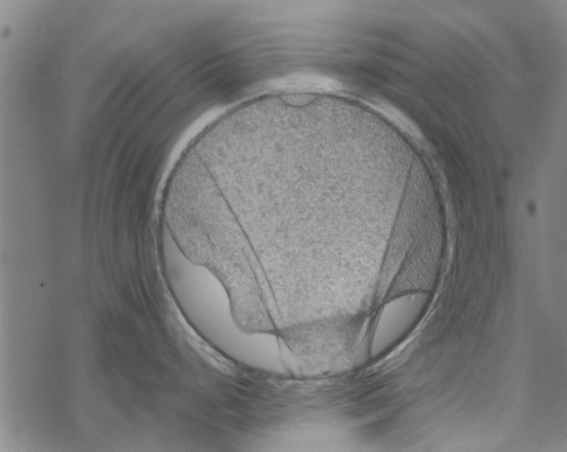 X0000067461248200605051614