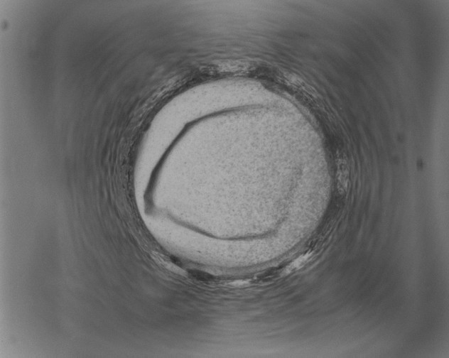 X0000067461249200605051613