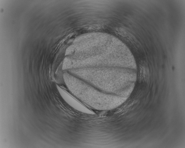 X0000067461250200605051613