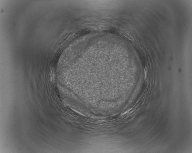 X0000067461251200605051613