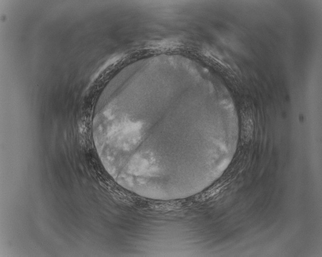 X0000067461254200605051613