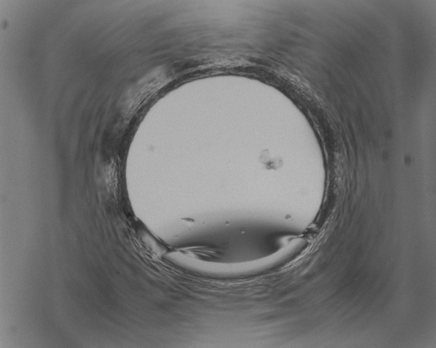 X0000067461257200605051613