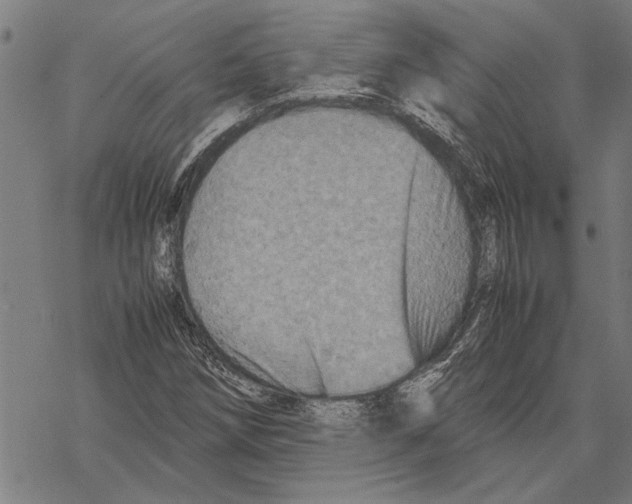 X0000067461258200605051613