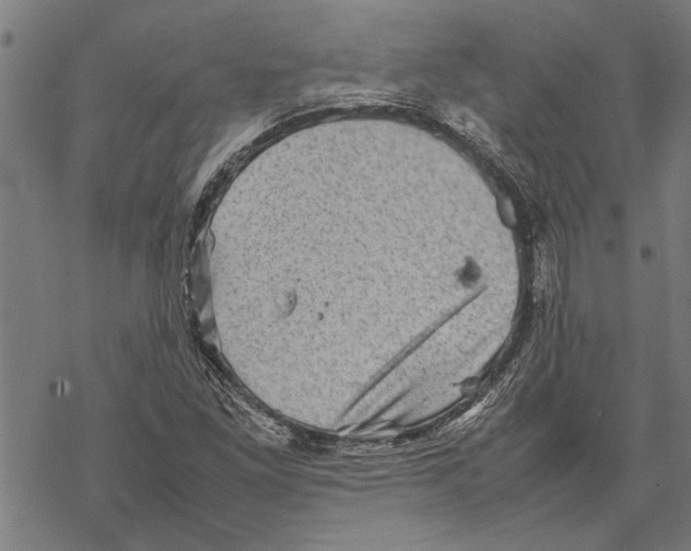 X0000067461261200605051613