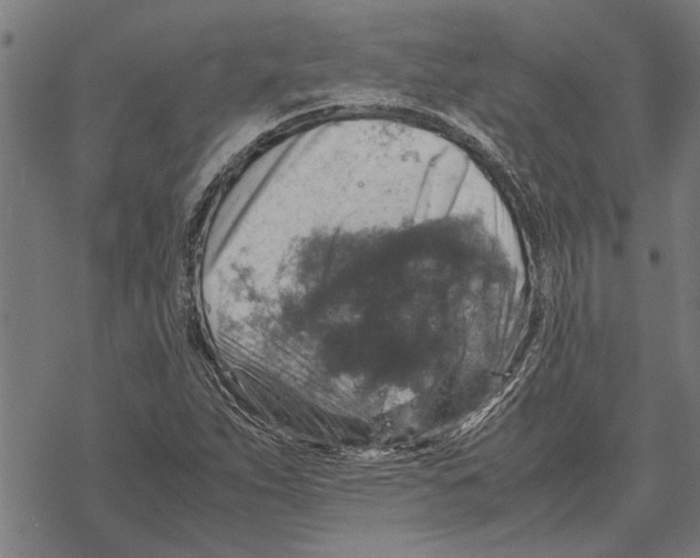 X0000067461263200605051613