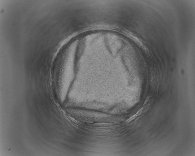 X0000067461264200605051613