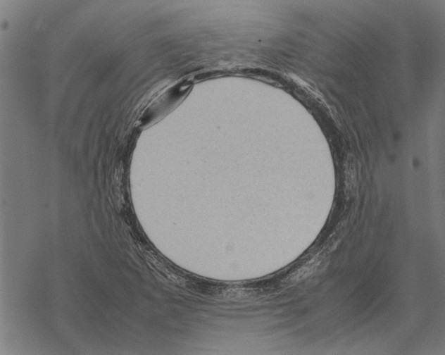 X0000067461265200605051613