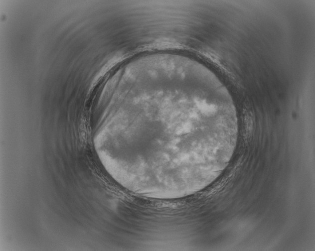 X0000067461266200605051613