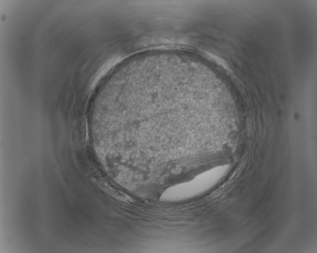 X0000067461267200605051613