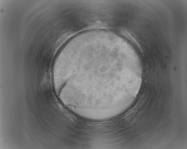 X0000067461268200605051613