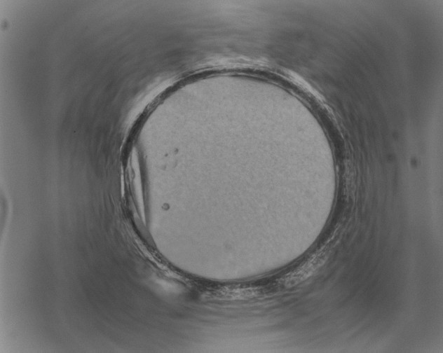 X0000067461269200605051613