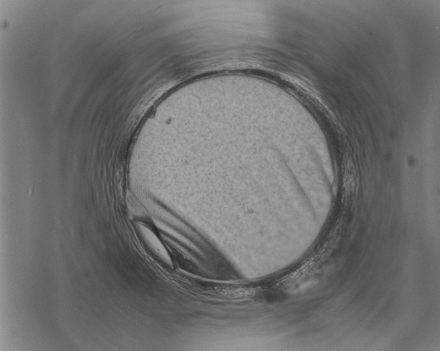 X0000067461273200605051613