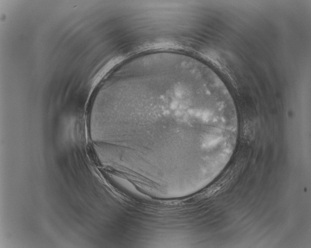 X0000067461274200605051613