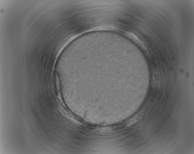 X0000067461276200605051612