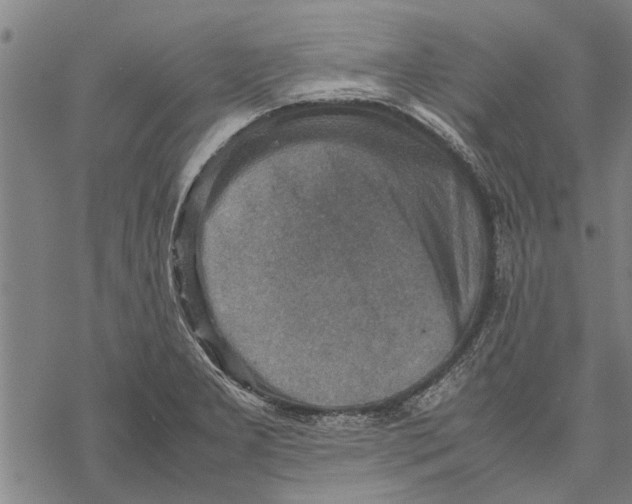 X0000067461277200605051612