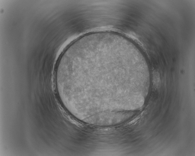 X0000067461278200605051612