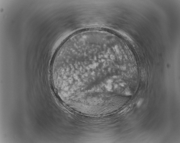 X0000067461279200605051612