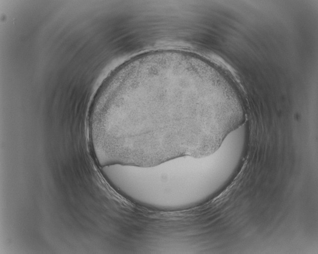 X0000067461280200605051612