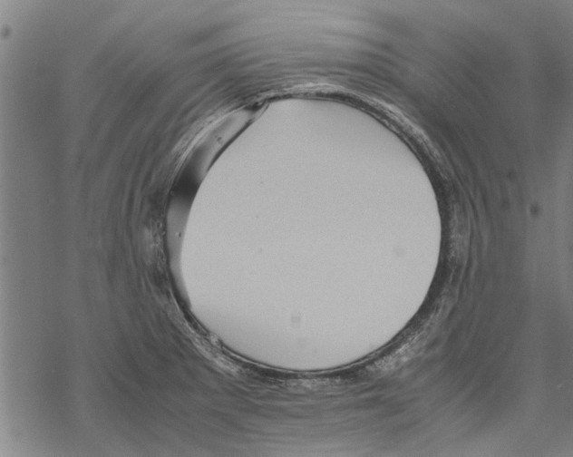 X0000067461281200605051612