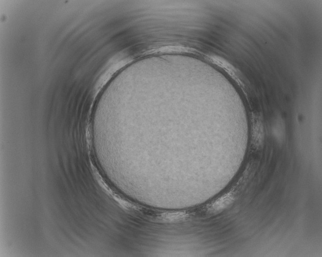 X0000067461282200605051612