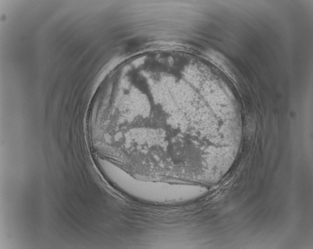 X0000067461283200605051612