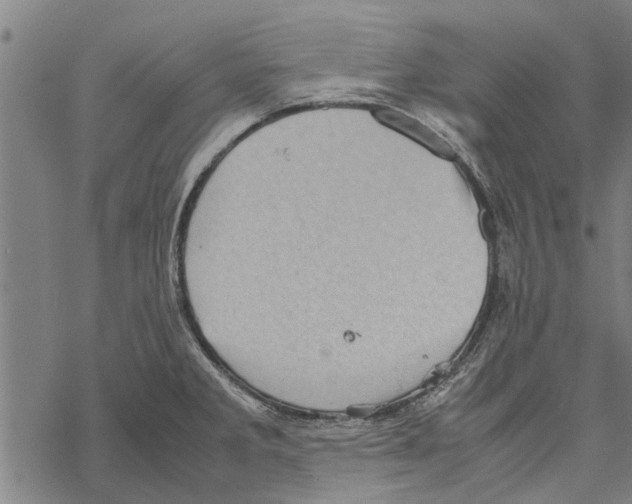 X0000067461285200605051612