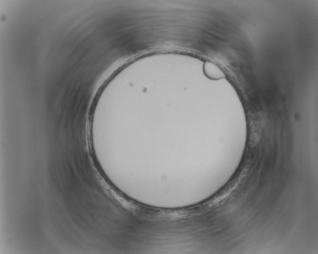 X0000067461286200605051612