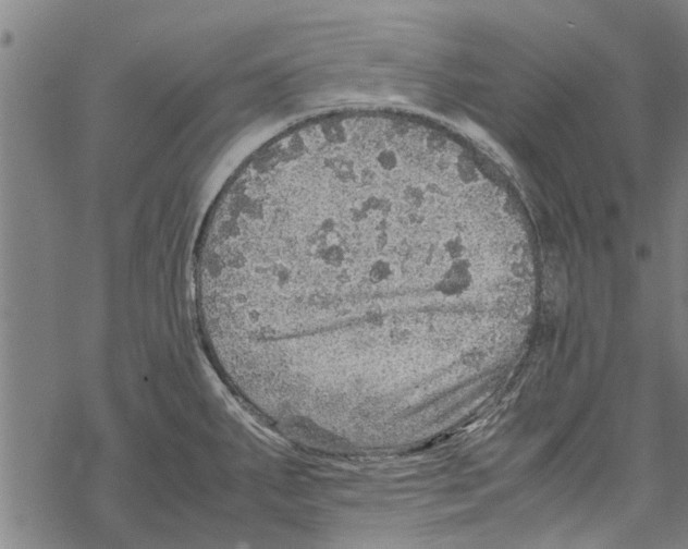 X0000067461287200605051612