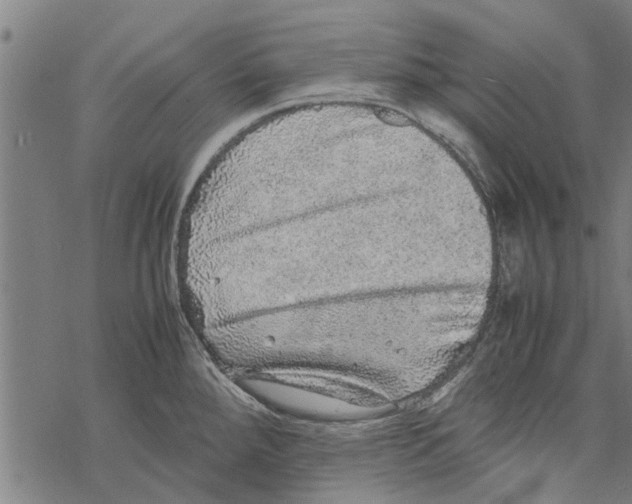 X0000067461288200605051612